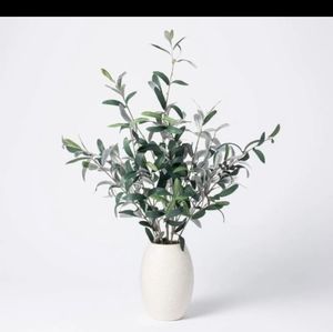 Faux olive plant